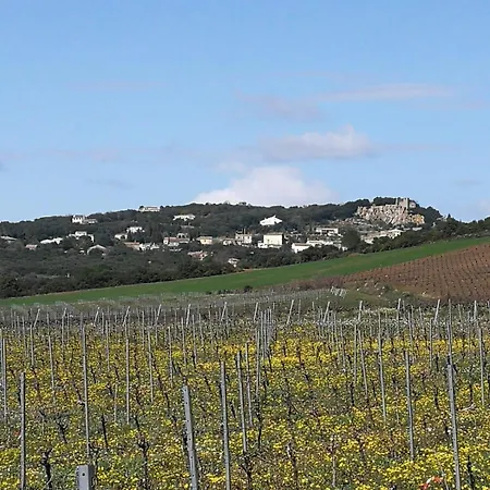 Casa de Férias Ma Maison Jaune - *