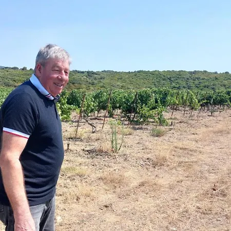 度假居 Ma Maison Jaune - *