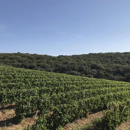 Ma Maison Jaune - * Roquessels