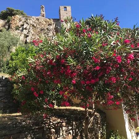 Ma Maison Jaune -