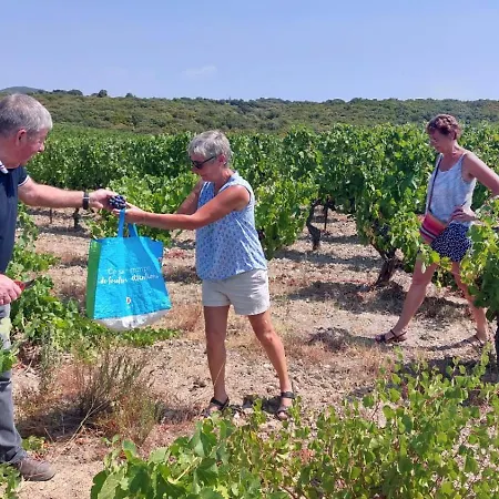 Ma Maison Jaune - Casa de Férias *