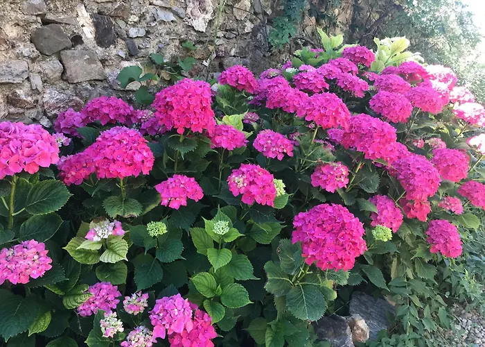 Ma Maison Jaune - Сasa de vacaciones Roquessels