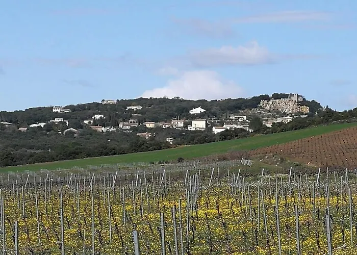 Сasa de vacaciones Ma Maison Jaune - *