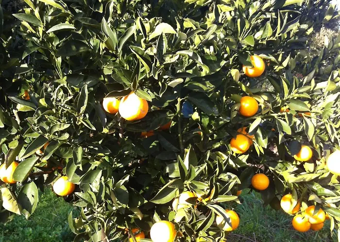 Ma Maison Jaune - Сasa de vacaciones *