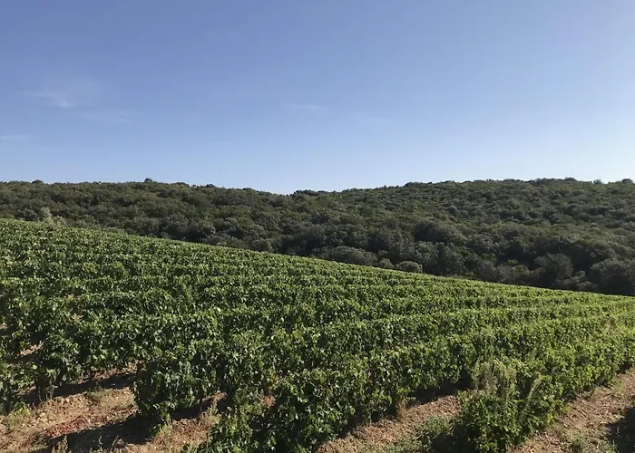 Ma Maison Jaune - * Roquessels